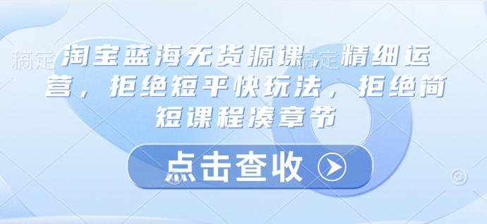 淘宝蓝海无货源课，精细运营，拒绝短平快玩法，拒绝简短课程凑章节-AI学习资源网