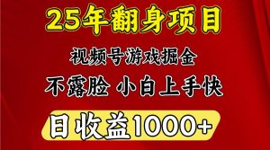 一天收益1000+ 25年开年落地好项目-AI学习资源网