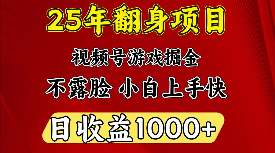 一天收益1000+ 25年开年落地好项目-AI学习资源网