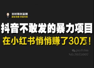 抖音不敢发的暴利项目,在小红书悄悄挣了30W-AI学习资源网