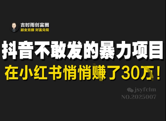 抖音不敢发的暴利项目，在小红书悄悄挣了30W-AI学习资源网