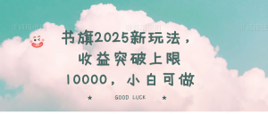 书旗2025新玩法,收益突破上限10000,小白可做-AI学习资源网
