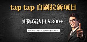 taptap拉新自刷项目,一个新用户14元,矩阵玩法日入300+-AI学习资源网