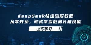 deepSeek快速驯服教程,从零开始,轻松掌握数据分析技能-AI学习资源网
