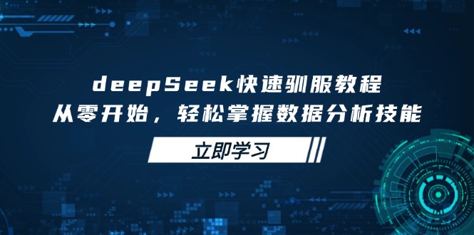 deepSeek快速驯服教程，从零开始，轻松掌握数据分析技能-AI学习资源网