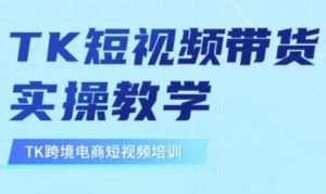 东南亚TikTok短视频带货,TK短视频带货实操教学-AI学习资源网