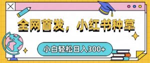 小红书种草,手机项目,日入3张,复制黏贴即可,可矩阵操作,动手不动脑【揭秘】-AI学习资源网
