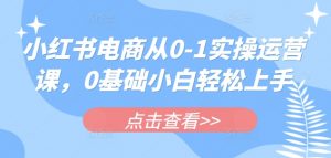 小红书电商从0-1实操运营课,0基础小白轻松上手-AI学习资源网