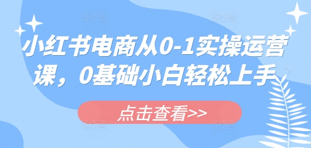 小红书电商从0-1实操运营课，0基础小白轻松上手-AI学习资源网