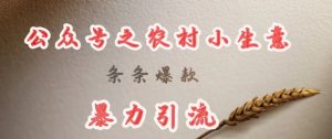 deepseek写农村小项目,条条爆款,暴力引流-AI学习资源网
