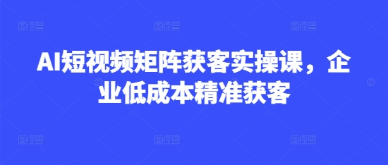 AI短视频矩阵获客实操课，企业低成本精准获客-AI学习资源网