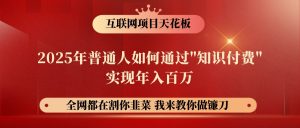 网创项目终点站-镰刀训练营超级IP合伙人,25年普通人如何通过“知识付费”年入百万-AI学习资源网