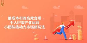 低成本引流高效变现,个人IP资产化运营,小团队撬动大市场新玩法-AI学习资源网