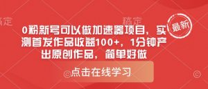 0粉新号可以做的加速器项目,实测首发作品收益100+,1分钟产出原创作品,简单好做-AI学习资源网