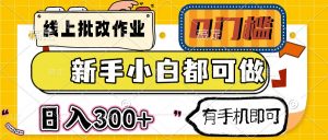 线上批改作业 0门槛 新手小白都可做 日入300+ 有手机即可-AI学习资源网