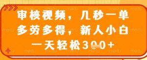 审核视频,几秒一单,多劳多得,新人小白一天轻松3张【揭秘】-AI学习资源网