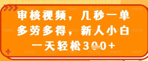 审核视频，几秒一单，多劳多得，新人小白一天轻松3张【揭秘】-AI学习资源网