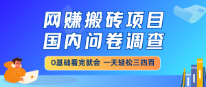 网赚搬砖项目,国内问卷调查,0基础看完就会 一天轻松三四百,靠谱副业…-AI学习资源网