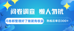 问卷调查 懒人勿扰 问卷都整理好了,做就有收益,熟练后日入300+-AI学习资源网