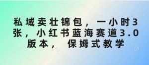 私域卖壮锦包,一小时3张,小红书蓝海赛道3.0版本, 保姆式教学-AI学习资源网