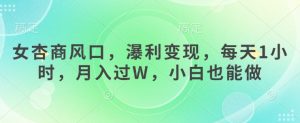 女杏商风口,瀑利变现,每天1小时,月入过W,小白也能做-AI学习资源网