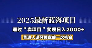 2025年蓝海项目,如何通过“网创项目”日入2000+-AI学习资源网
