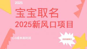 2025新风口项目宝宝取名,0成本高利润,附保姆级教程,月入过万不是梦-AI学习资源网