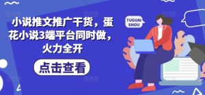 小说推文推广干货,蛋花小说3端平台同时做,火力全开-AI学习资源网