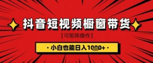 抖音短视频食品橱窗带货,小白轻松上手日入1k+【揭秘】-AI学习资源网