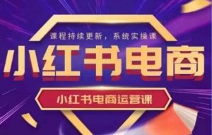 小红书电商运营实操课,新手从0~1落地实操-AI学习资源网