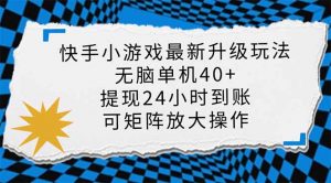 快手小游戏最新版升级玩法,新风口,无脑单机日入40+,可批量放大,小…-AI学习资源网