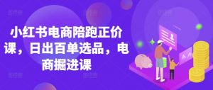 小红书电商陪跑正价课,小红书官方认证电商讲师教学,日出百单选品,电商掘进课-AI学习资源网