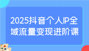 2025抖音个人IP全域流量变现进阶课:选爆品、抖音付费投流、千川投流实操及优化等-AI学习资源网