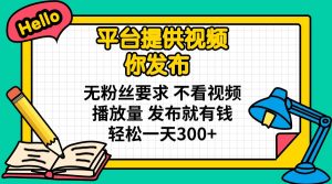 平台提供视频 你发布 无粉丝要求 不看视频播放量 发布就有钱 轻松一天300+-AI学习资源网