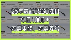 25年最新CSGO挂机系统,单日1000+,无需电脑,无需养号,0基础可上手-AI学习资源网