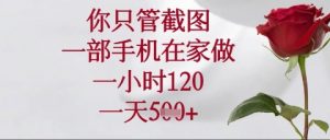 你只管截图,一部手机在家操作,一小时120.一天5张【揭秘】-AI学习资源网