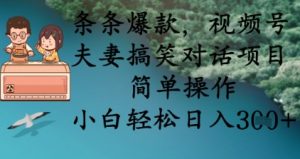 条条爆款,视频号夫妻搞笑对话项目,简单操作,小白轻松日入3张+-AI学习资源网
