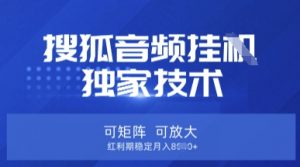【搜狐音频挂G】独家技术,可矩阵可放大,红利期稳定月入8k【揭秘】-AI学习资源网