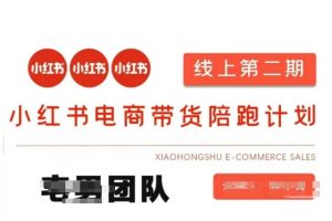 小红书电商带货课2期,月利润20个的小红书电商的有货源,无货源,虚拟产品,付费投流等整套玩法-AI学习资源网
