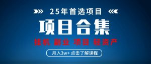实操项目合集 挂机类型 直播类型 轻资产创业类型 课程分享各项目介绍和原理-AI学习资源网