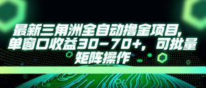 最新三角洲全自动撸金项目,单窗口收益30-70+,可批量矩阵操作-AI学习资源网