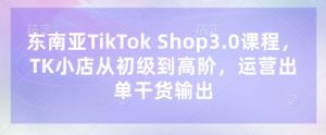 东南亚TikTok Shop3.0课程,TK小店从初级到高阶,运营出单干货输出-AI学习资源网