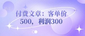付费文章:客单价500,利润300-AI学习资源网
