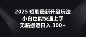 2025短剧最新升级玩法,小白也能快速上手,无脑搬运日入300+-AI学习资源网