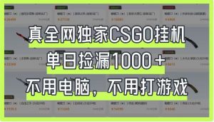 真全网独家CSGO挂机,单日捡漏1000+,不用电脑,不用养号-AI学习资源网
