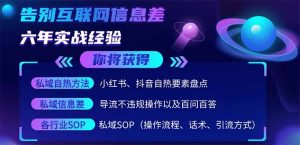 2025最新流量玩法出炉,无视平台风控,小红书暴利引流打法,日引流1000+-AI学习资源网