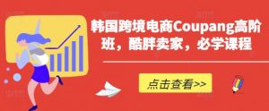 韩国跨境电商Coupang高阶班,酷胖卖家,必学课程-AI学习资源网