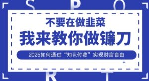 韭菜生涯终结者,我来教你做镰刀,2025如何通过“知识付费”实现财F自由【揭秘】-AI学习资源网