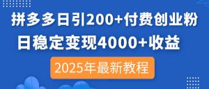 拼多多日引200+付费创业粉,日稳定变现4000+收益,2025年最新教程-AI学习资源网