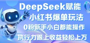 DeepSeek赋能小红书爆单玩法0粉新手小白都能操作,执行力跟上收益轻松上W,懒人勿做-AI学习资源网